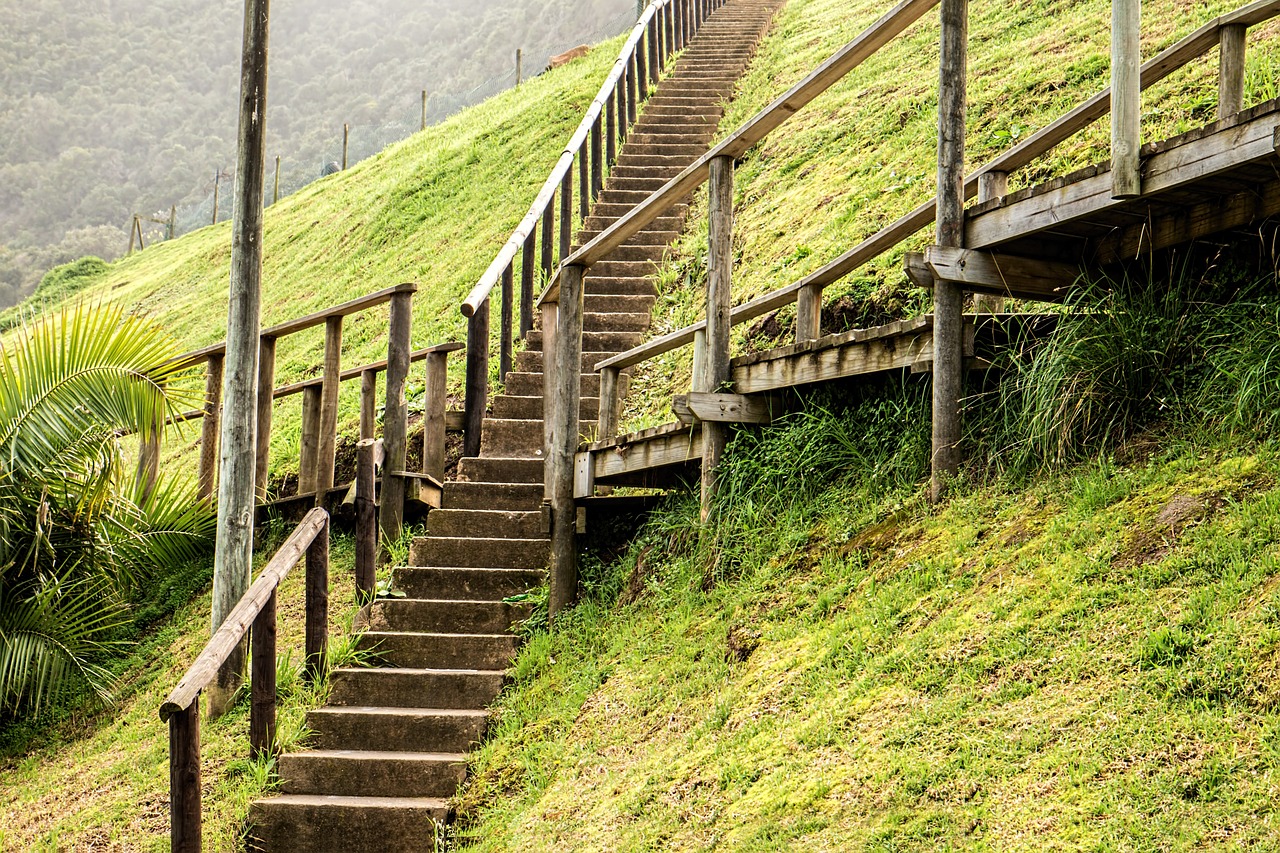 男子遭裁员后孤身进哀牢山，逆境中的自我挑战与人生启示