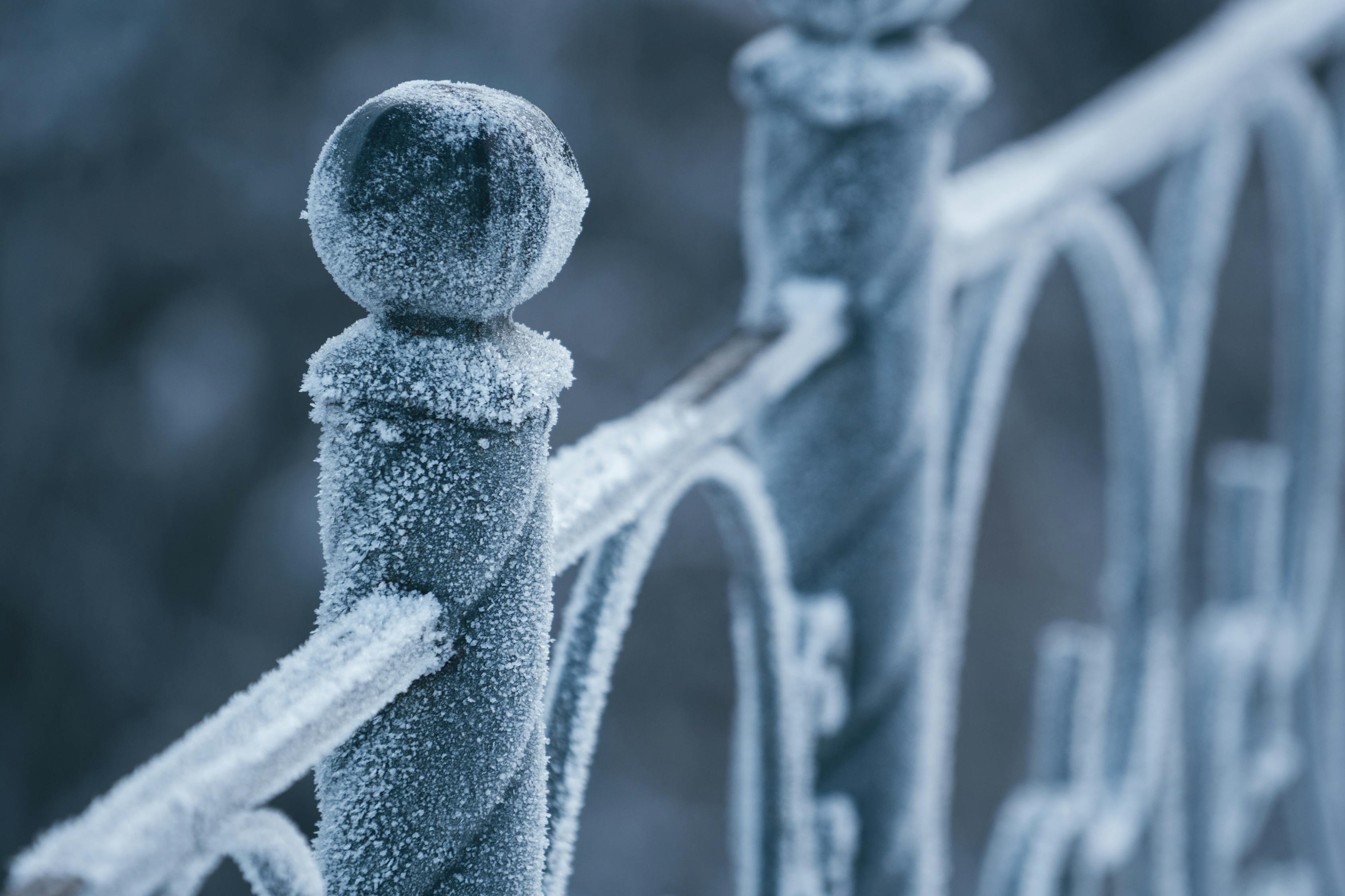 上海下雪了——一场令人期待的冬日惊喜